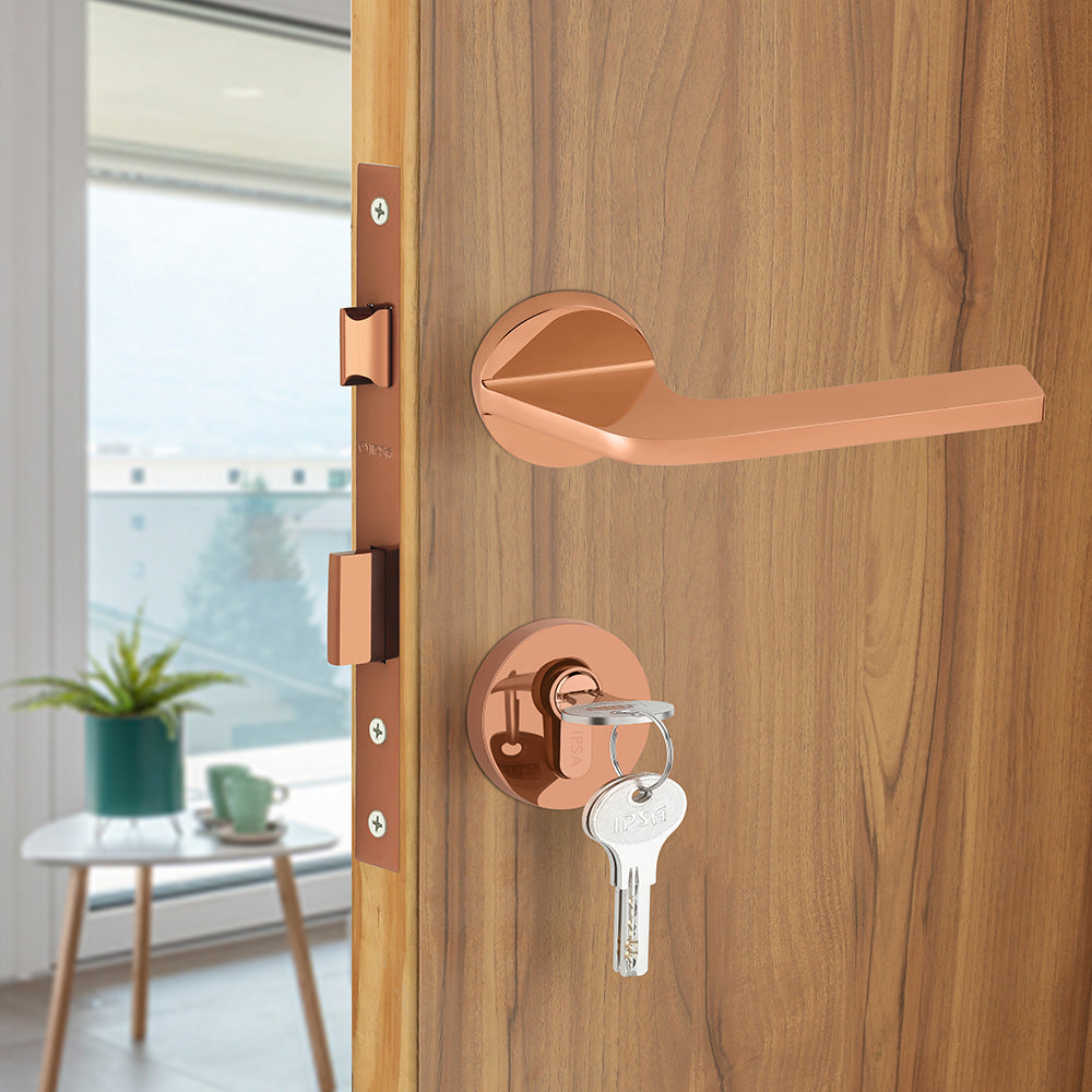 IPSA Aly Lord Series On Rose Door Handle without Lock body & Cylinder Only Pair Finish: RG